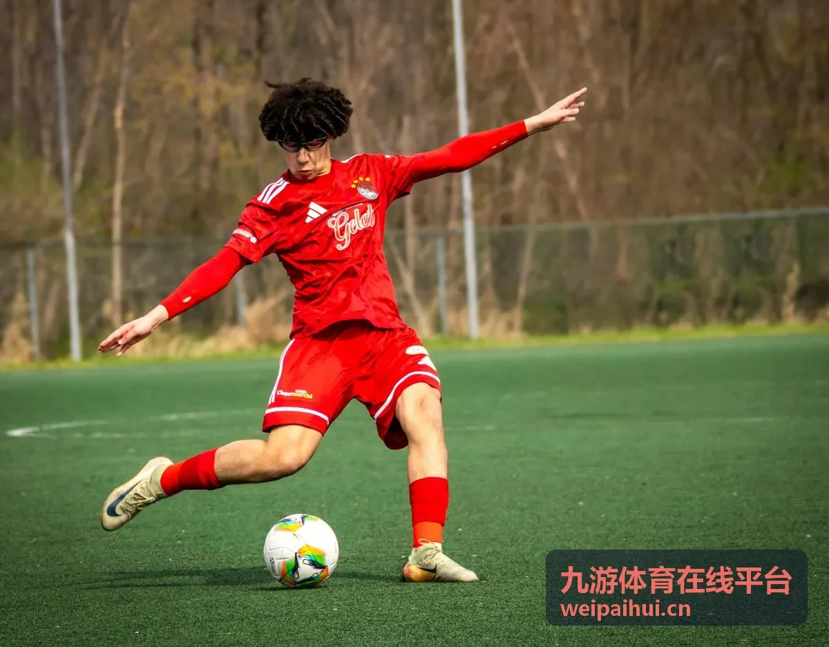 九游体育在线平台赛后数据速览板块示意图