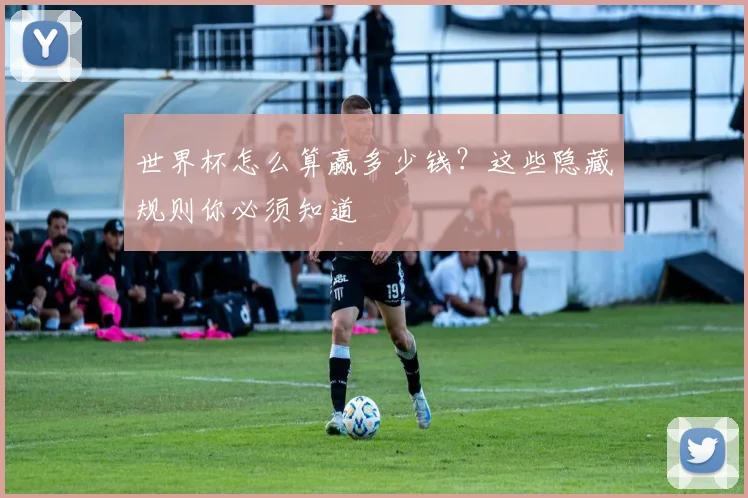 世界杯怎么算赢多少钱？这些隐藏规则你必须知道