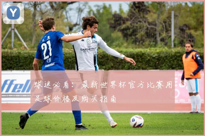 球迷必看：最新世界杯官方比赛用足球价格及购买指南