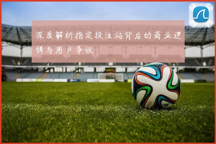 深度解析指定投注站背后的商业逻辑与用户争议