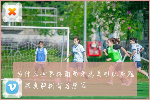 为什么世界杯葡萄牙总是难以夺冠？深度解析背后原因