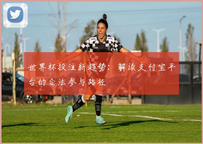 世界杯投注新趋势:解读支付宝平台的合法参与路径