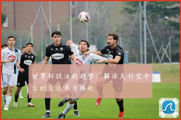 世界杯投注新趋势：解读支付宝平台的合法参与路径