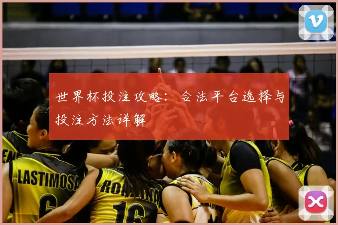 世界杯投注攻略:合法平台选择与投注方法详解