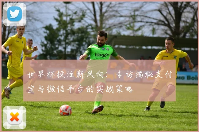 世界杯投注新风向:专访揭秘支付宝与微信平台的实战策略