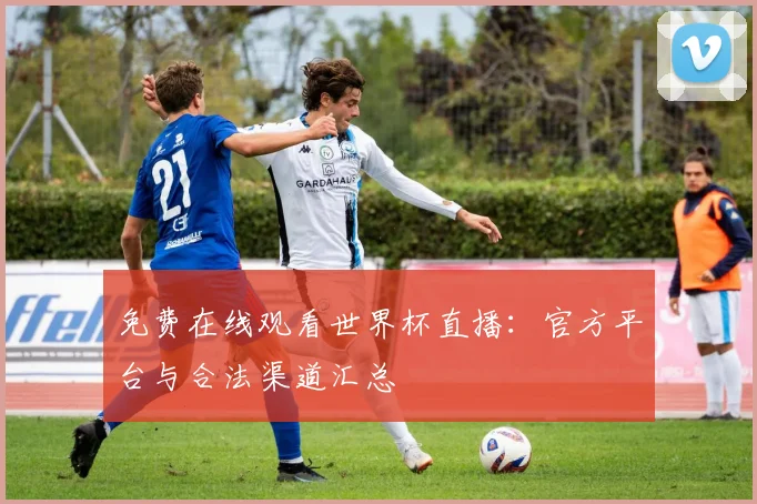 免费在线观看世界杯直播:官方平台与合法渠道汇总