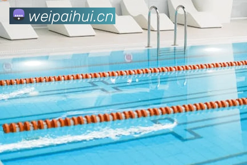 多媒体互动体验